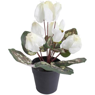 Kunstblume BOTANIC-HAUS "Alpenveilchen", beige (creme, weiß), B:20cm H:24cm T:20cm Ø:20cm, Kunststoff, Kunstpflanzen