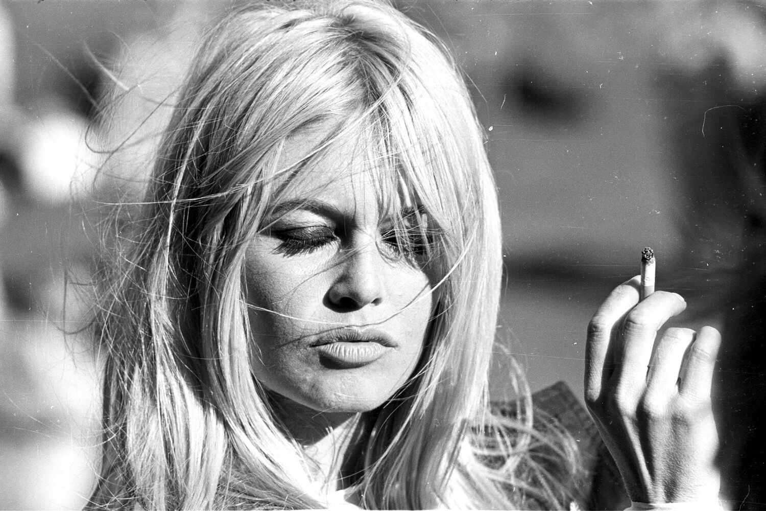Acrylglasbild QUEENCE "Brigitte Bardot", grau (farbe bild(er): grau), B:90cm H:60cm T:0,4cm, Bilder, Acrylglasbild, Fine Art-Print in Galeriequalität farbe bild(er): grau B/H/T: 90cm x 60cm x 0,4cm, Acrylglasbild Film Filmfiguren Filmszene Foto Frau Portr
