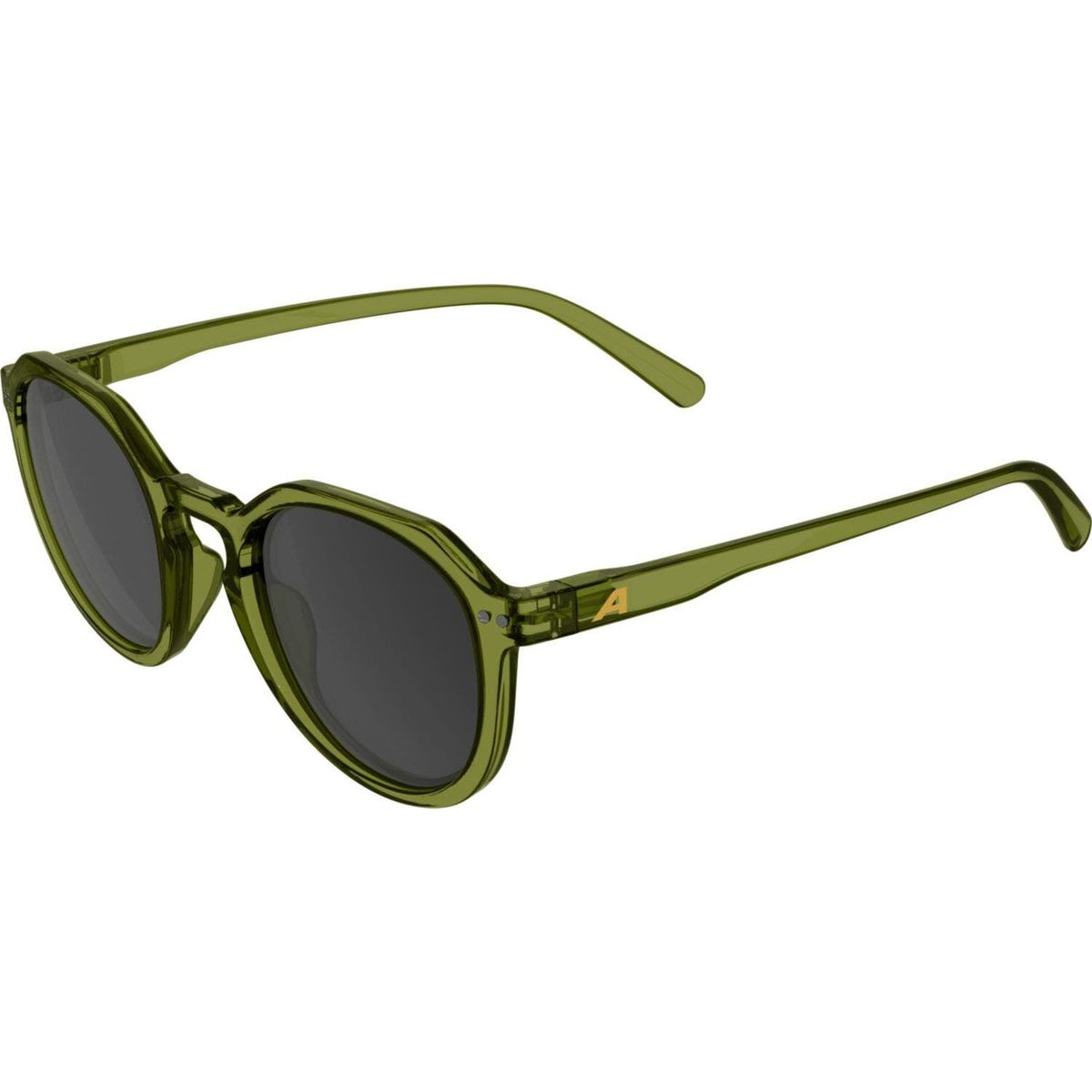 Alpina Sneek 2.0 green transparent schwarz (71) one size A8768471