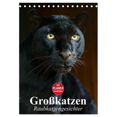 Großkatzen. Raubkatzengesichter (Tischkalender 2026 DIN A5 hoch), CALVENDO Monatskalender
