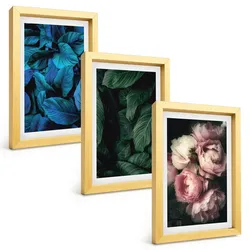 BILDER SET 3er Set - 20x30 cm Goldrahmen - Blätter, Blüten, verschiedene Farben
