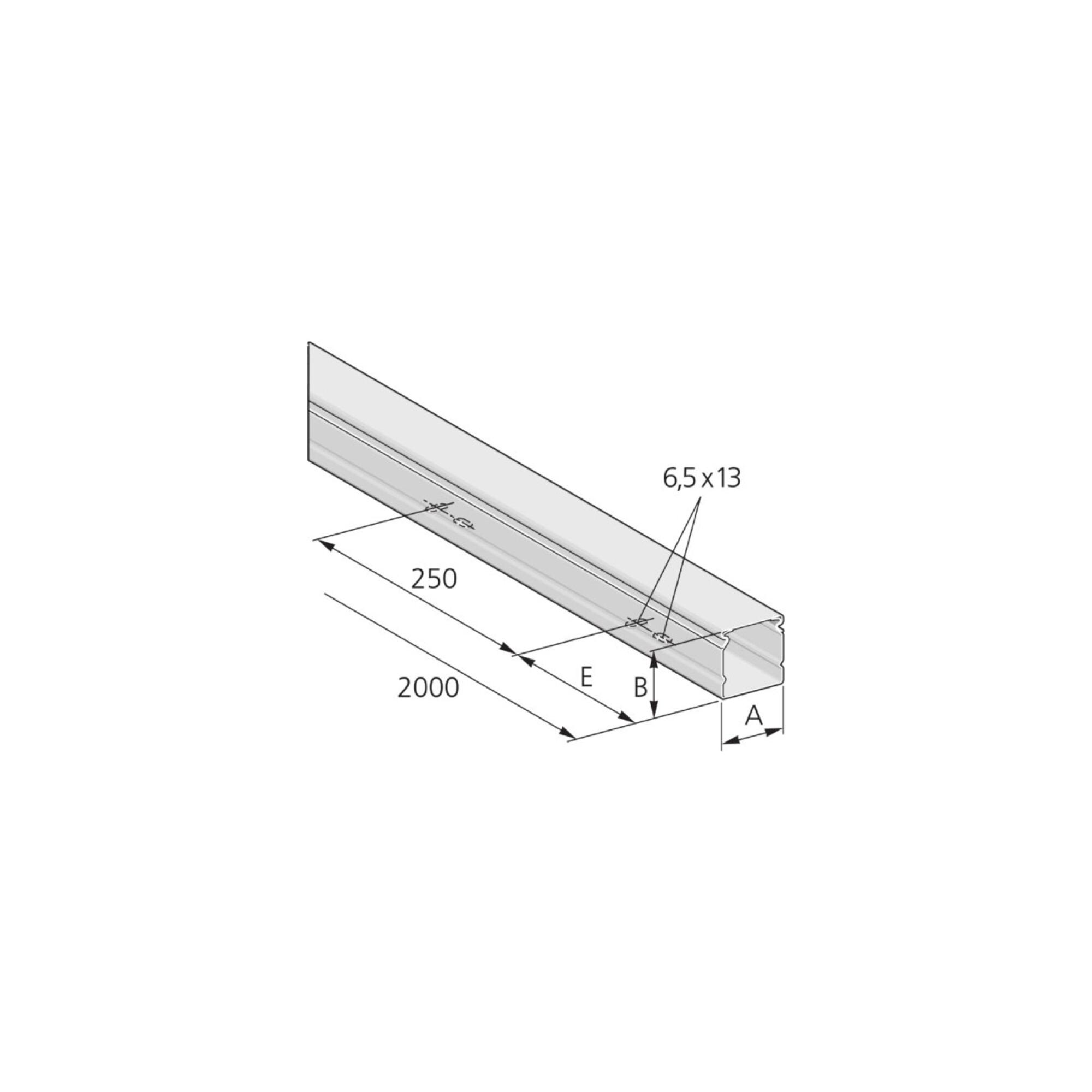 pflitsch Installationskanal PIK 100/60 L=2000mm S (PIK100/60S)