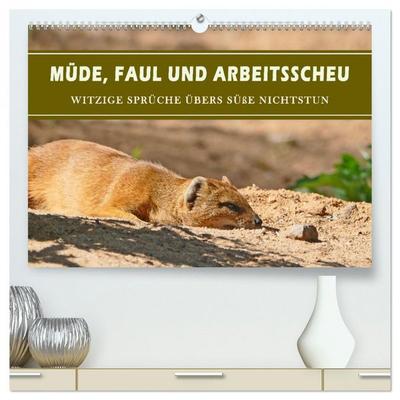 Müde, faul und arbeitsscheu (hochwertiger Premium Wandkalender 2026 DIN A2 quer), Kunstdruck in Hochglanz