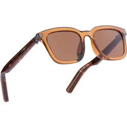 Avizar Vernetzte Brille Caeli UV-Schutz, AR Brille, Braun