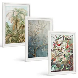BILDER SET 3er Set - 40x60 cm Weißer Rahmen - Tropische Pflanzen, Vögel, Natur
