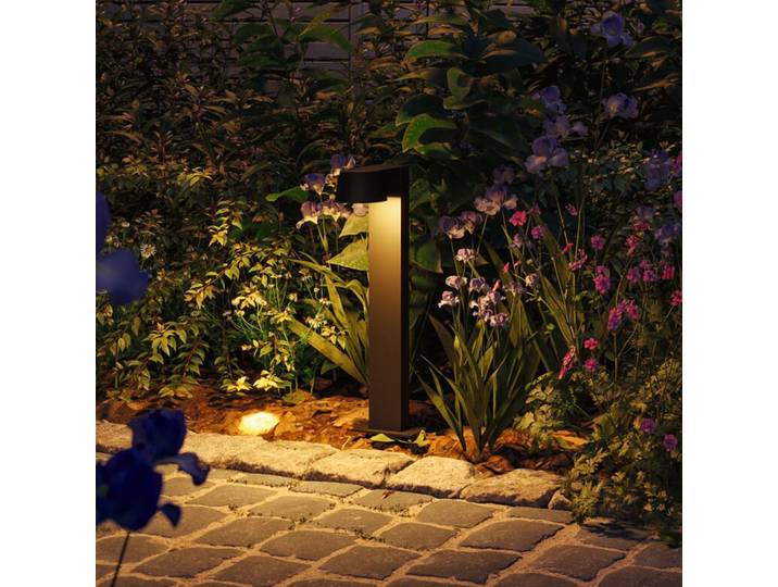 Bornes lumineuses LED Capea, anthracite, hauteur 50 cm, IP44 - Paulmann - Moderne - Métal - À ampoule unique