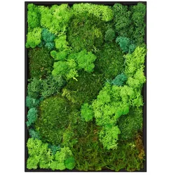 MOOSBILD Rechteck 38 x 27 cm Mooswand Indoor mit echtem echtem Kugelmoos-Islandmoos-Flachmoos-Mix und Holzrahmen Grün
