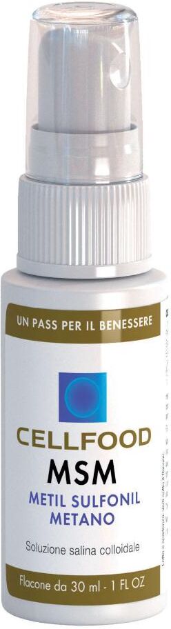 EPINUTRACELL Srl Cellfood MSM Spray, 30 ml