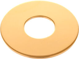 Schaller Toggle Switch Plate G