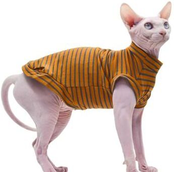 Uplift Essentials Summer Breathable Cotton Hairless Cat Vest xs