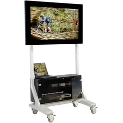 TV Wagen, TV Rack für Fernseher bis 70 Zoll mit Unterschrank