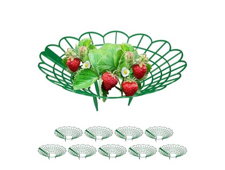 Relaxdays Supports pour fraises\, set de 10\, protection contre les limaces\, plastique\, évite la pourriture\, vert