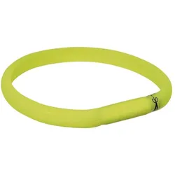 4x Trixie Safer Life Flash Leuchtband (50, Hund), Halsband + Leine