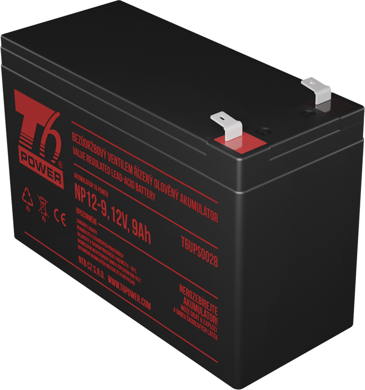 T6 Power pro APC Back-UPS 300 VRLA Batterij 12V