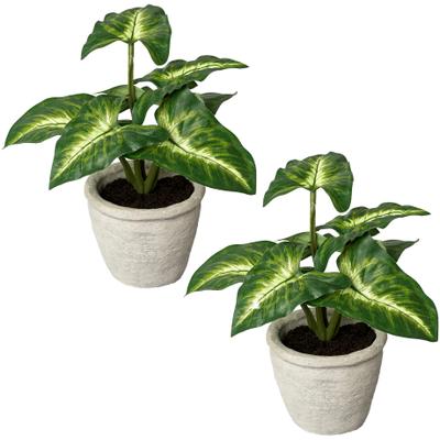 Künstliche Zimmerpflanze CREATIV GREEN "Blattpflanze Syngonium", grün, B:15cm H:20cm, Kunststoff, Kunstpflanzen, Künstliche Zimmerpflanze, im Zementtopf, 2er Set