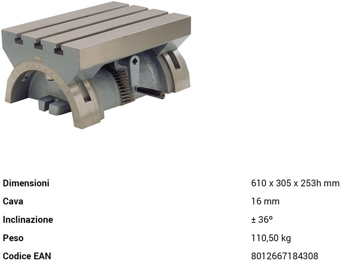 Fervi T004/600 Tavola basculante