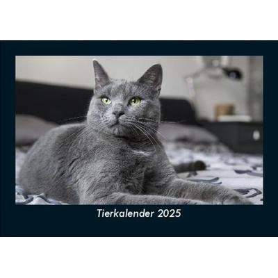 Tierkalender 2025 Fotokalender DIN A5