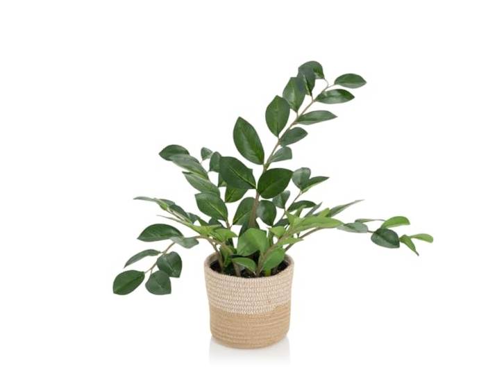 hjh OFFICE Plante Artificielle ZAMIE Hauteur 50 cm Vert Déco Zamioculcas Plante d'intérieur Plume Porte-Bonheur Artificielle\, 871008