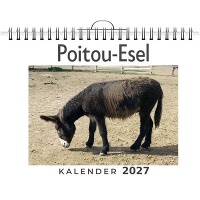 Poitou-Esel