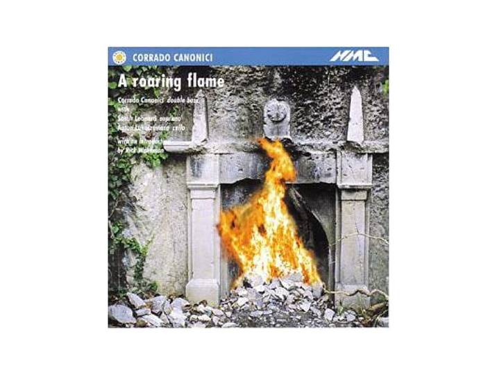 Various - A Roaring Flame