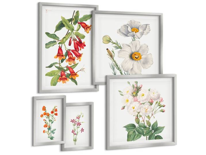 BILDER SET 5er Set - 50x50 cm & 20x30 cm & 40x60 cm Silberner Rahmen - Blumenmalerei im Retro-Stil