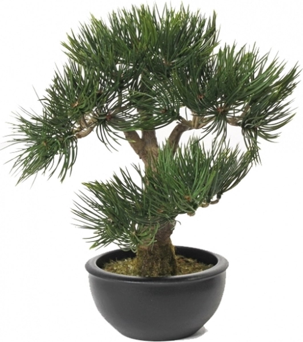 Kunstplant Bonsai Pinus Deniflora - Kunst kamerplant - 33 cm