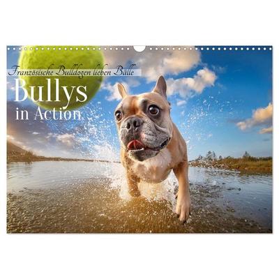 Bullys in Action - Französische Bulldoggen lieben Bälle (Wandkalender 2026 DIN A3 quer), CALVENDO Monatskalender