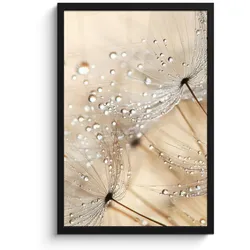 POSTER MIT RAHMEN Löwenzahn - Abstrakt - Natur - Beige Bilder mit Rahmen 40x60 cm