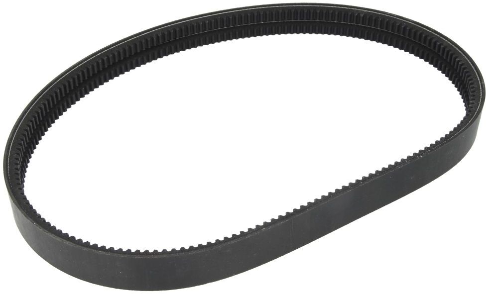 Courroie trapézoïdale à nervures OPTIBELT 2/13X1075 AVX
