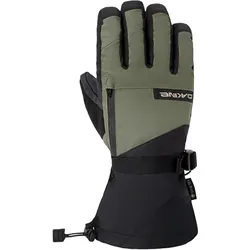 Dakine Titan Gore-Tex Skihandschuhe Herren 342 - mulled basil L