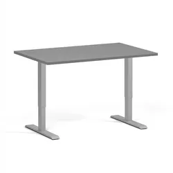 Höhenverstellbarer Schreibtisch, 2 Motoren, 74-121 cm, Tischplatte 120x80 cm, graues Metallgestell, Graphit
