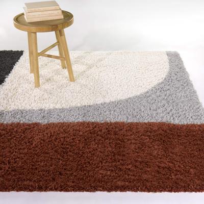 Balta Rugs Thorin Geometric Shag Area Rug