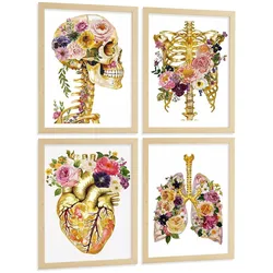 POSTER Set aus 4 Anatomie Mensch Drucke und Wandbilder mit Schädel Skelett Herz und Goldene Lungen Wanddekoration Größe Leichter Holzrahmen A3