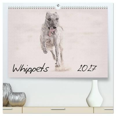 Whippets 2027 (High Quality Premium Wall Calendar 2027 DIN A2 landscape),CALVENDO 12 Month Wall Calendar