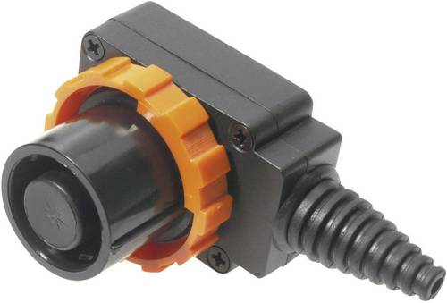 Cliff FCR2072 Netz-Steckverbinder FC Stecker, gewinkelt Gesamtpolzahl: 8 10A Schwarz 1St.