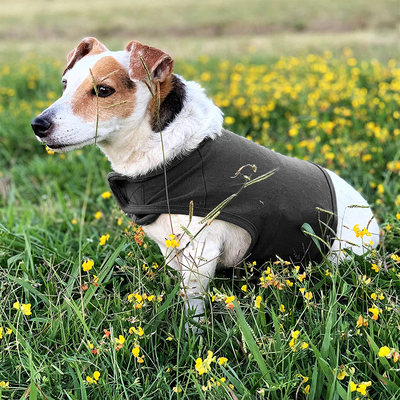 PetsAreLife Anti Anxiety Dog Vest Blue XL