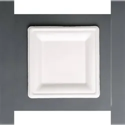Quadratische Teller aus Bagasse - 50er-Set - Fiesta Green - Weiß - B15.9- L15.9- T15.9- h- Bagasse