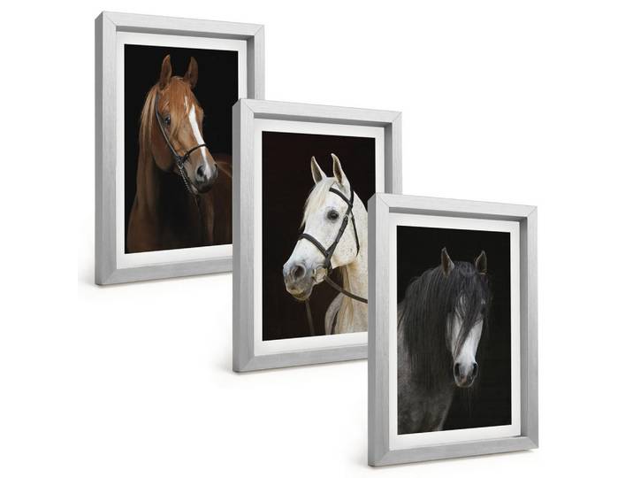 Tulup Bilder SET 3er Set - 20x30 cm Silberner Rahmen - Porträts von Pferden in verschiedenen Fellfarben, Silberfarben, Kunststoff, Rechteckig, 20x30 cm, Fotografie, Bilder & Rahmen, Bilder
