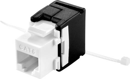 Renkforce RJ45-Einbaumodul Keystone CAT 6