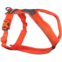 Non-Stop Dogwear Line Harness 5.0 Orange 6 (6, Hund, Allgemein, Hundesport, Spazieren), Halsband + Leine