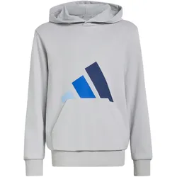 adidas Essentials Hoodie ältere Kinder KT3378 - lgh solid grey/glow blue/team royal blue 128