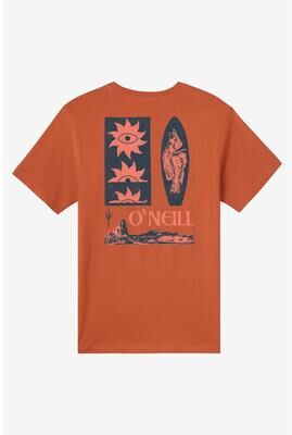 O'Neill s Elsinore Classic T-Shirt in Chutney, Size Large