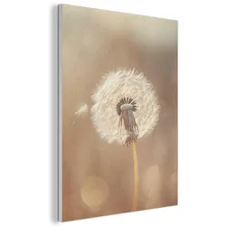 AKUSTIKBILD Löwenzahn - Beige - Natur - Blume Wanddeko 70x100 cm