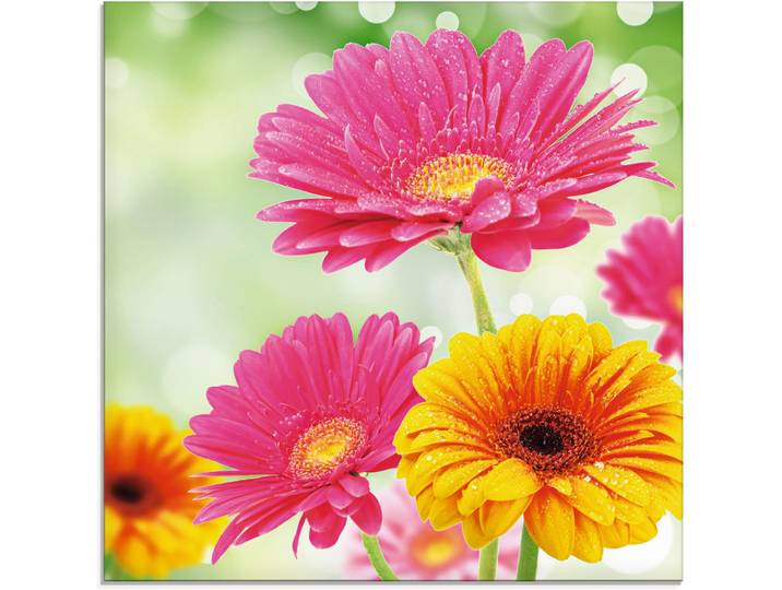 Glasbild ARTLAND Natürliche Romantik - Gerberas , bunt (farbe bild(er): bunt), B:50cm H:50cm, Bilder, Glasbild, in verschiedenen Grössen