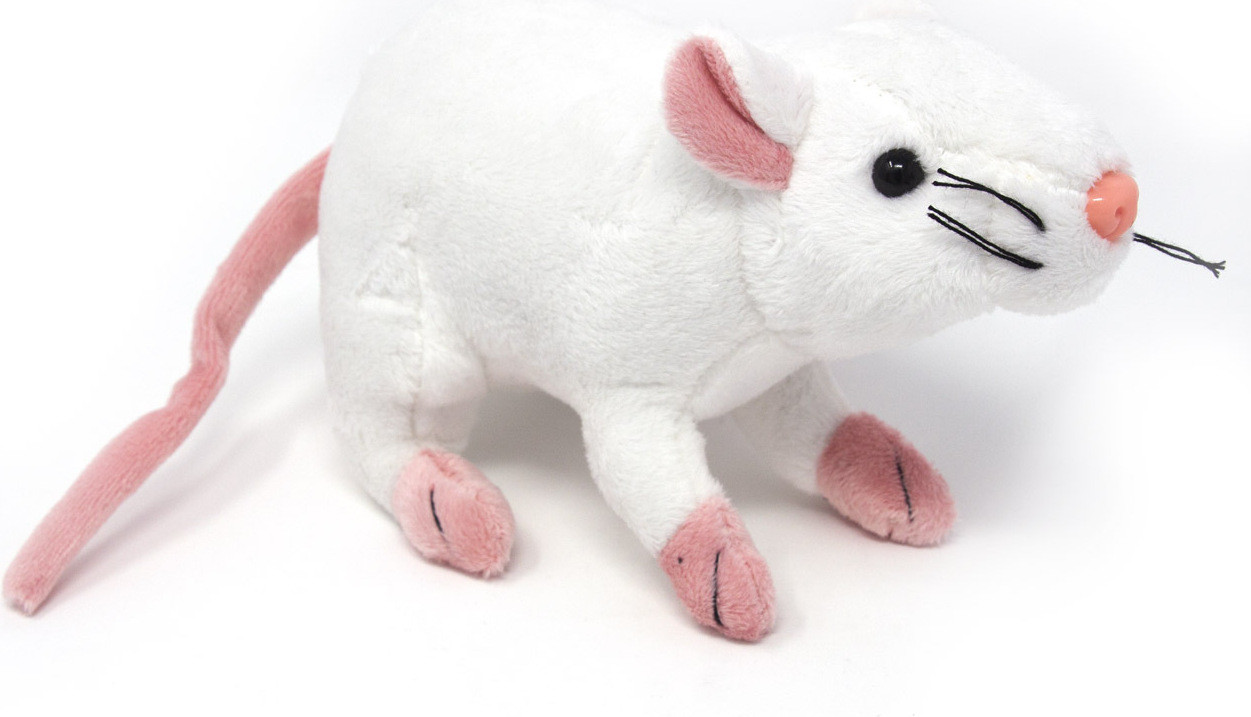 Cornelissen Knuffel Witte Rat