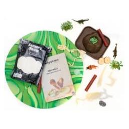 Jellystone Designs Dinosaurier-Sinnes-Set mit Figuren (69302814)