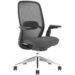 Carmen HORGEN Ergonomischer Bürostuhl mit Netzrücken, Lordosenstütze, 4D-Armlehnen und Alu-Fußkreuz – Schwarz
