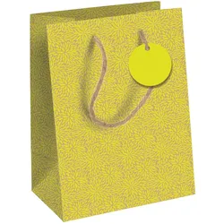 Clairefontaine 6x Geschenktasche Kraft M, Néon, 21,5x10,2x25,3cm - Gelb 30675-3C