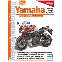 Yamaha Fazer 1 und FZ 1 ab Modelljahr 2006, Ratgeber