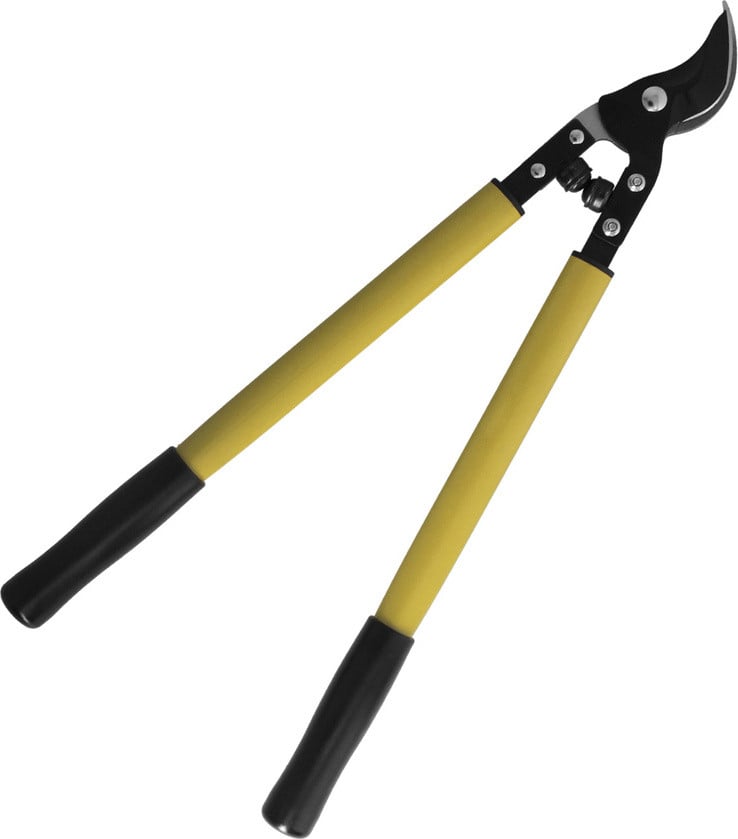 Wolfpack Professionele snoeischaar van roestvrij staal, 60 cm